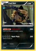 Chat Noir