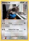 Sniping Cat