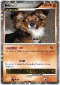 Toto