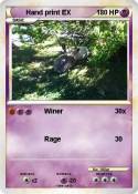 Hand print EX