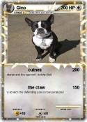 Gino