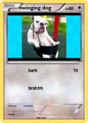 swinging dog