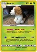 Beagle