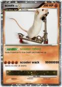 scoots