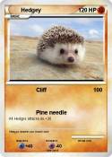 Hedgey