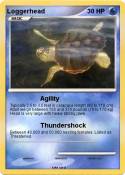 Loggerhead