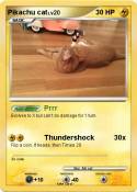 Pikachu cat