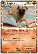 Pug lvl X