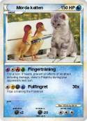 Mörda katten