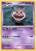 Chat garou Chat garou