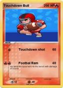 Touchdown Bull