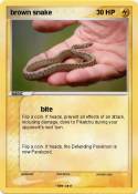 brown snake