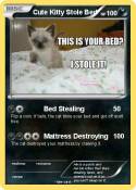 Cute Kitty