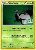 Mine Turtle