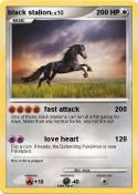 black stalion