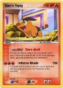 Sam's Tepig Sam's Tepig
