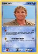 Steve Irwin