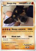 Sleepy dog