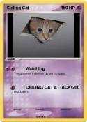 Cieling Cat