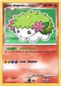 toms shaymin