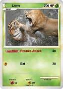 Lions Lions