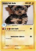 puppy hat dude
