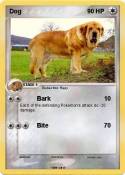 Dog