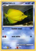 yellow fish