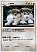 puppies