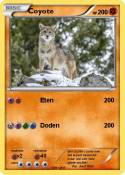 Coyote