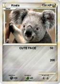 Koala