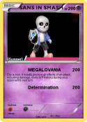 SANS IN SMASH