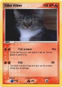Killer KItten