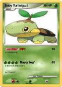 Baby Turtwig