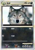 Wolf
