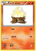 Torch wood