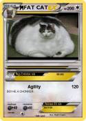 FAT CAT