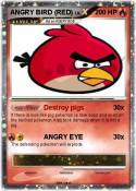 ANGRY BIRD