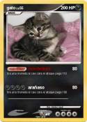 gato