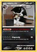 gato rokero