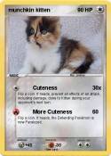 munchkin kitten