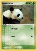 Giant Panda