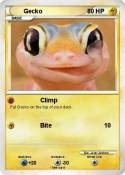Gecko