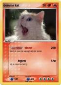 domme kat