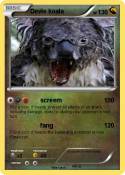 Devle koala