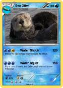 Sea Otter