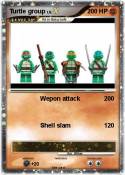 Turtle group
