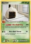 Rice Ball