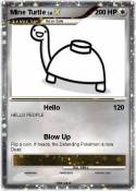 Mine Turtle