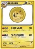 DOGE COIN
